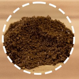 Guatemala Huehuetenango
