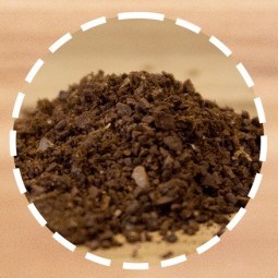 Guatemala Huehuetenango